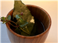 tomato broth